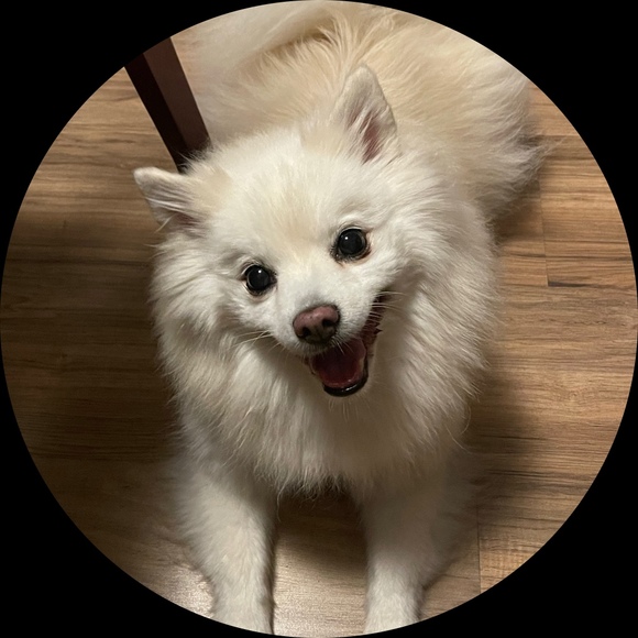 ritaf1014